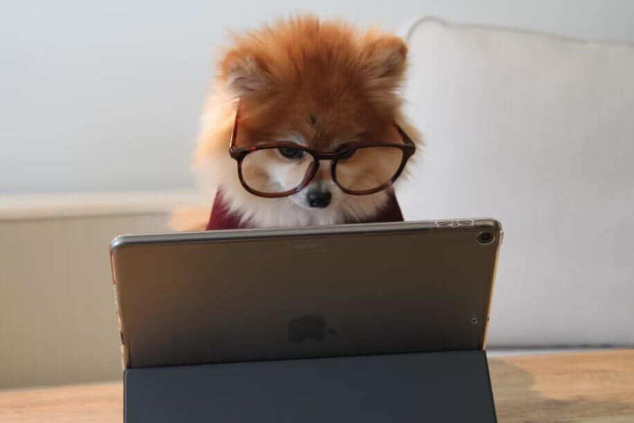 メガネとパソコン