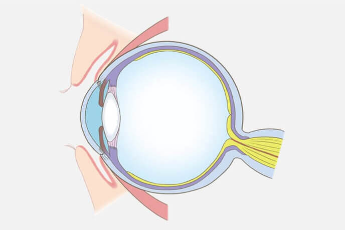 眼球のイラスト